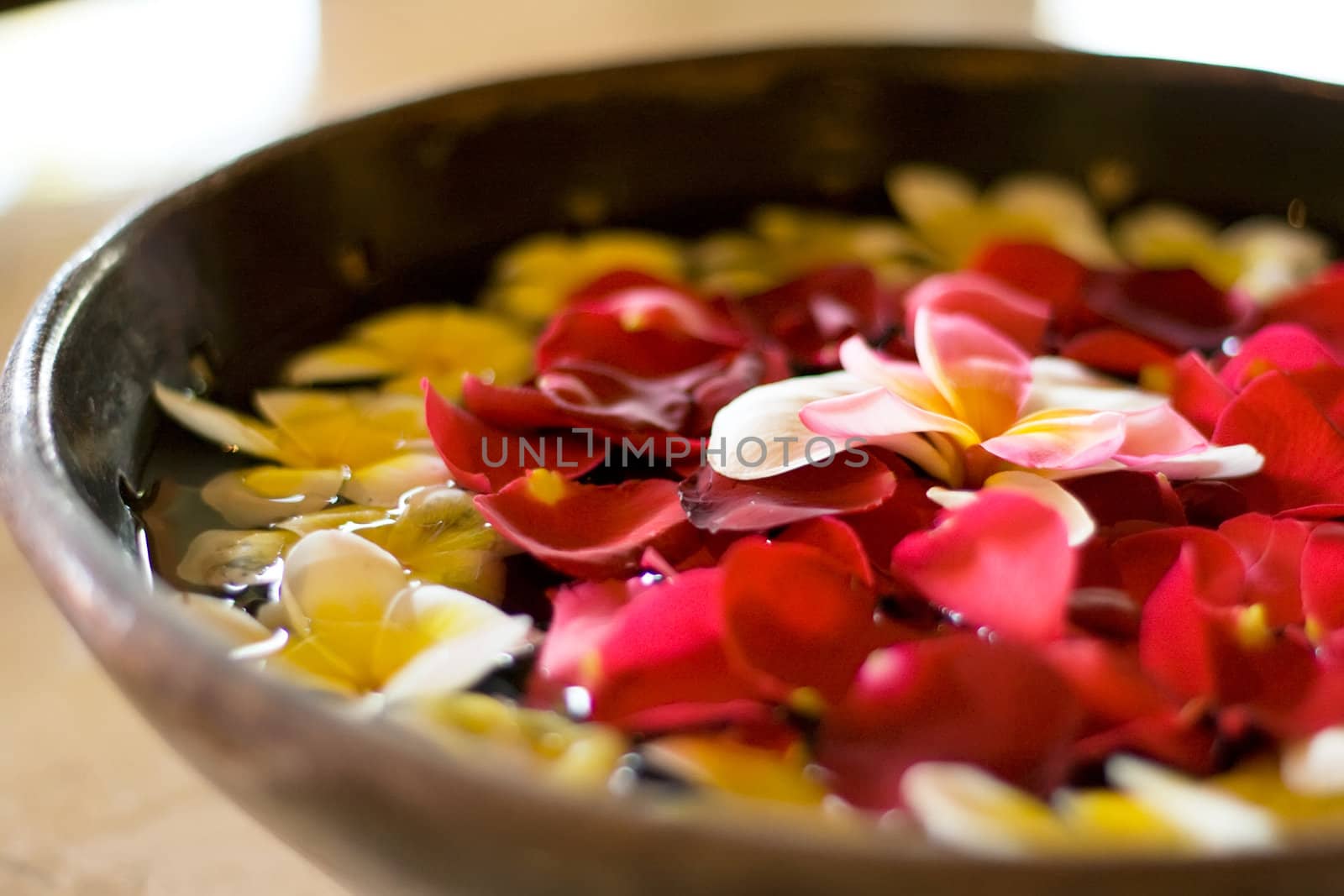 flower petals in a bowl at a spa by noblige