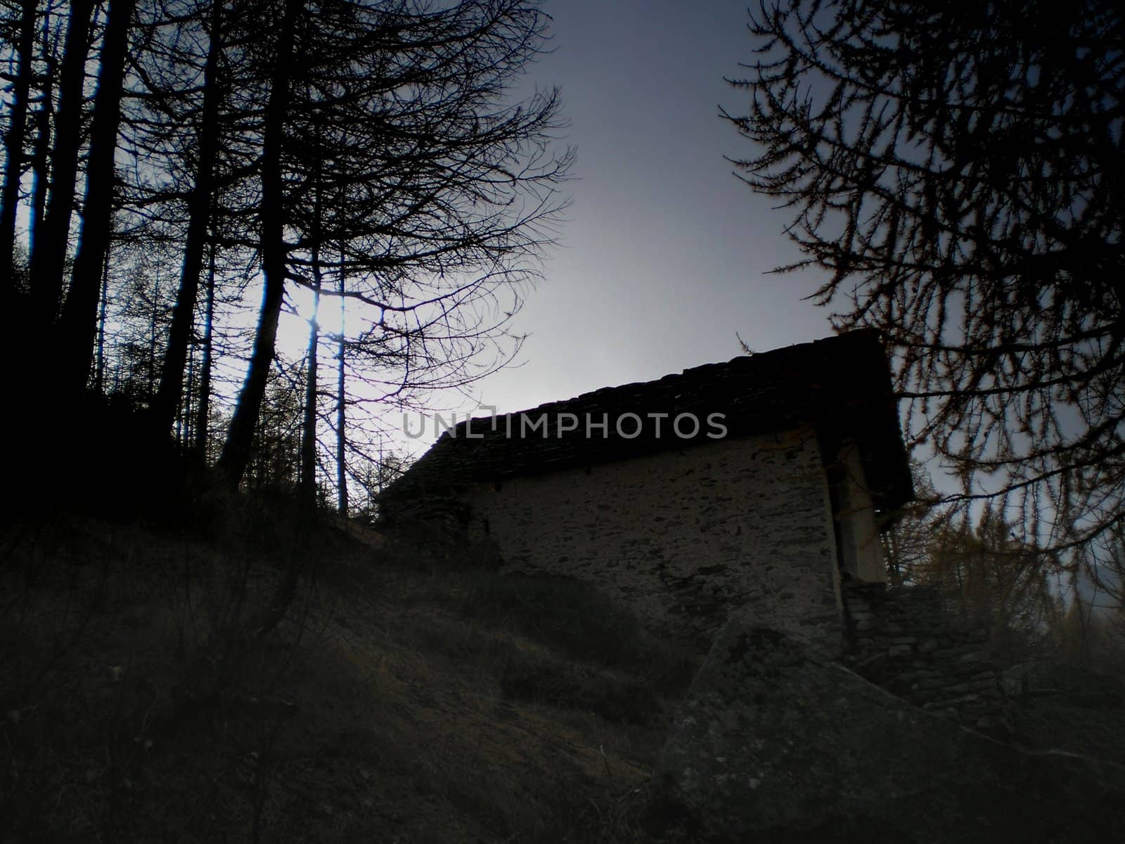 chalet in the forest