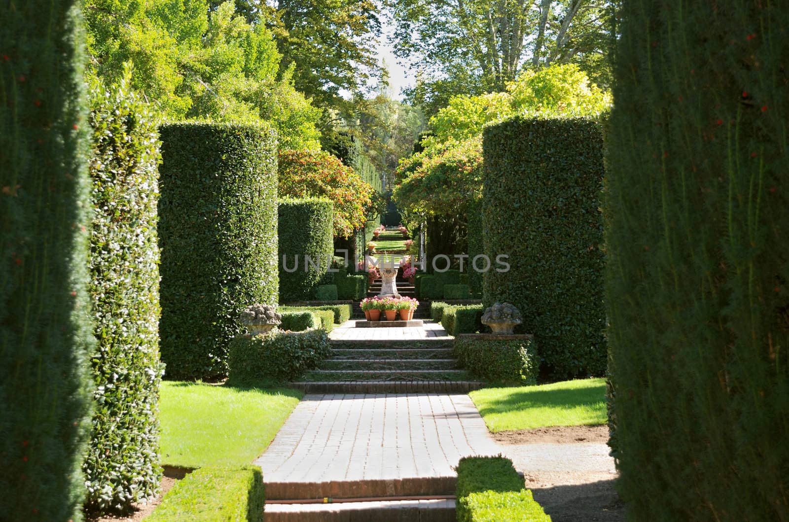 a view on a formal garden on a sunny day