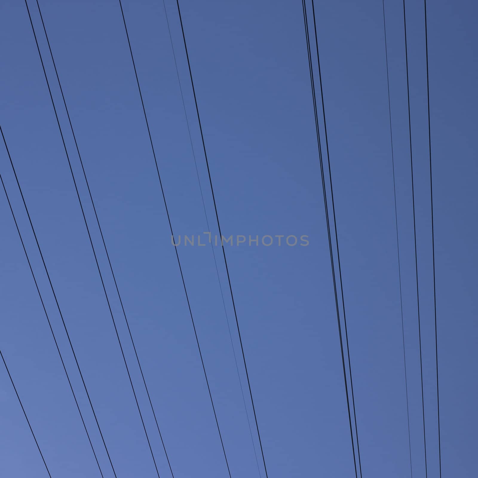 electric wires in the sky