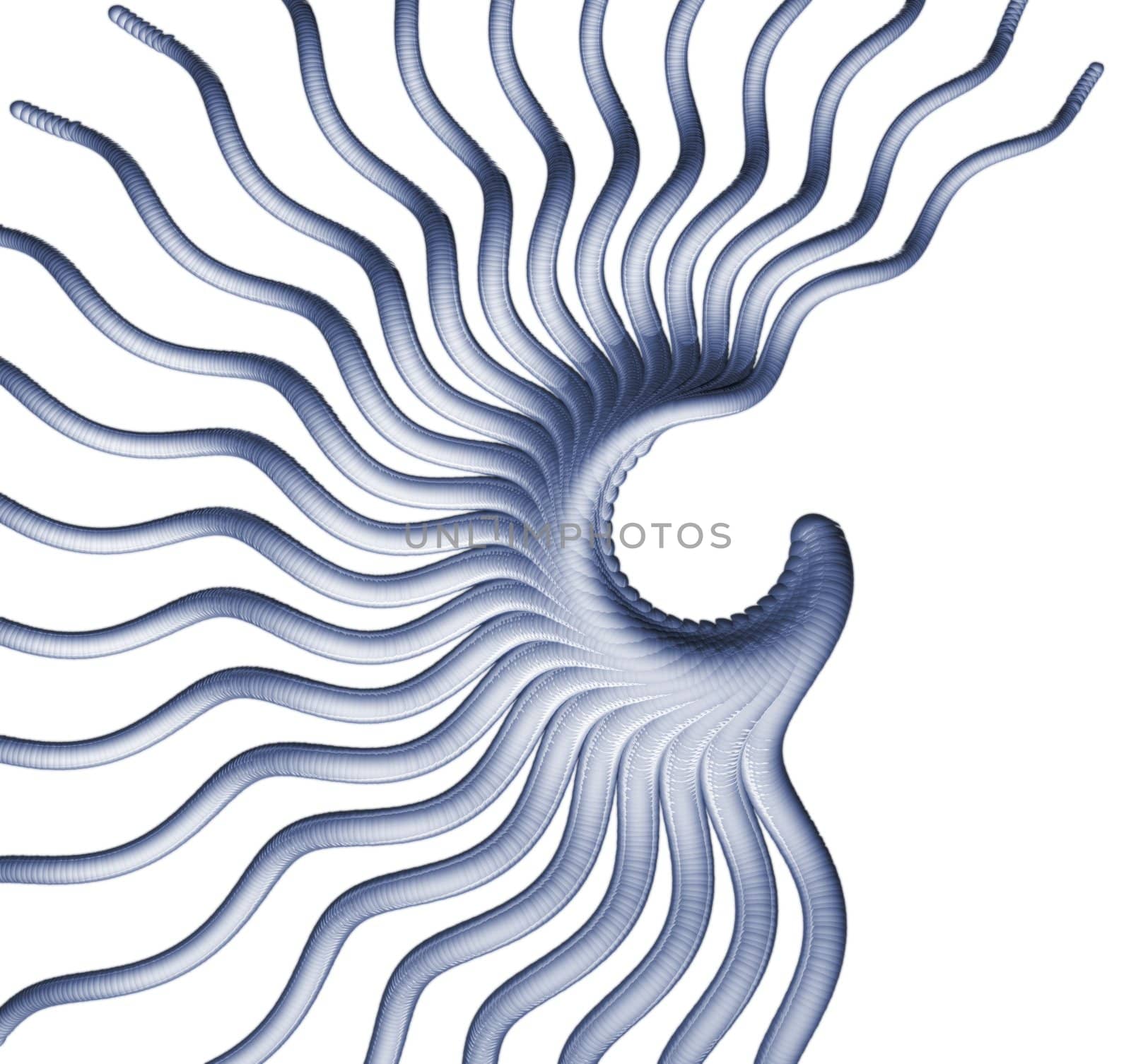 Abstract organic form on white background - 3d illustration