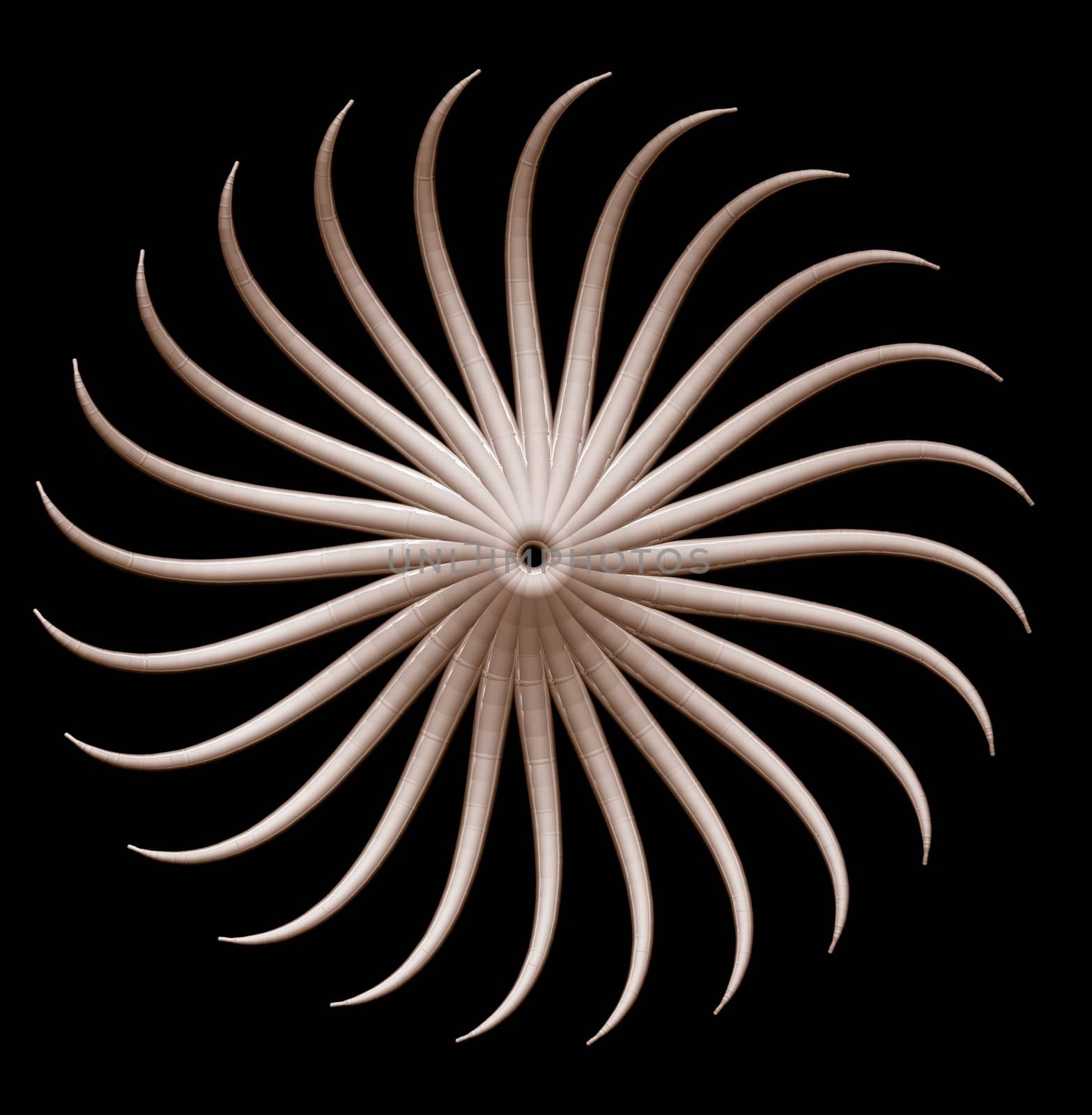 Abstract organic star on black background - 3d illustration