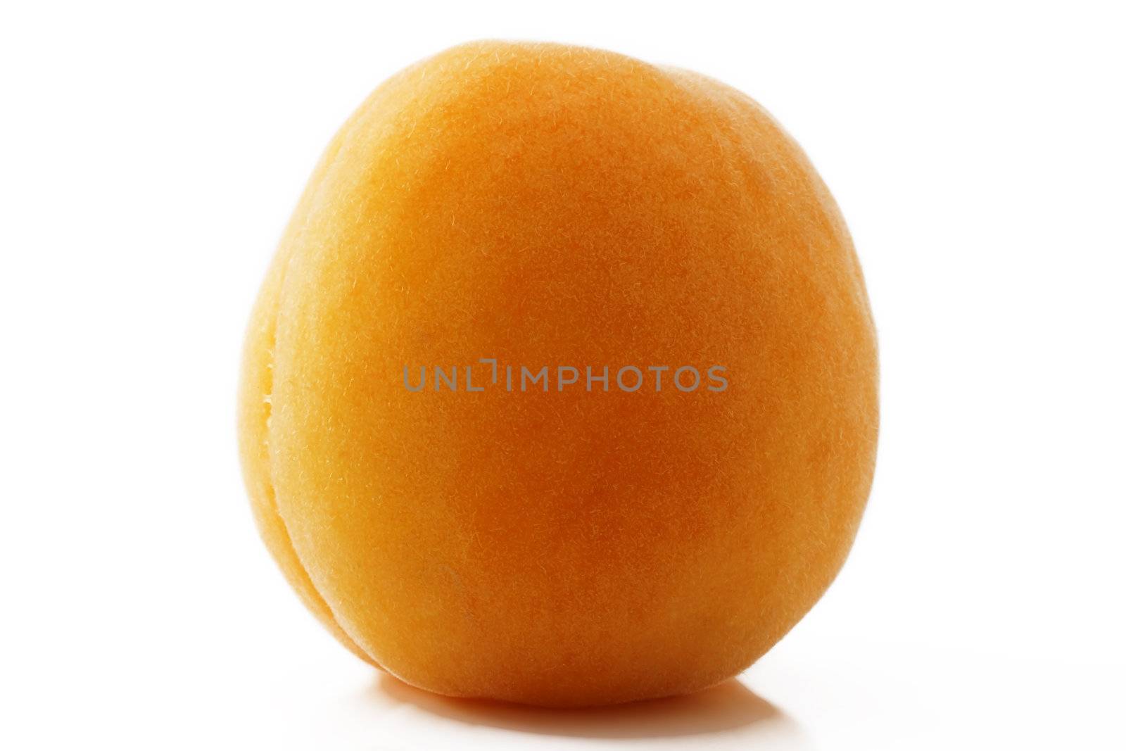 closeup of one apricot on white background