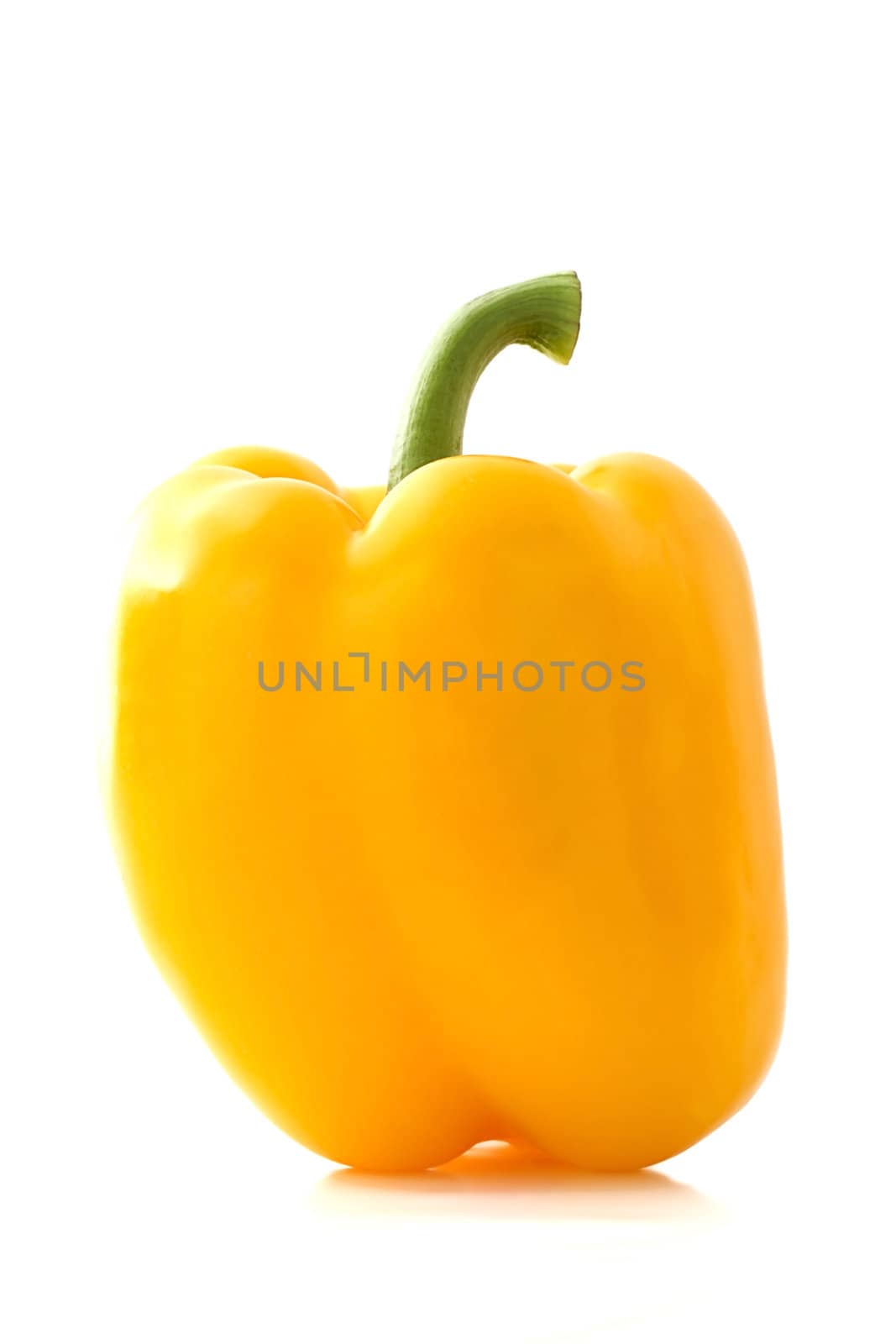 one yellow paprika isolated on white background