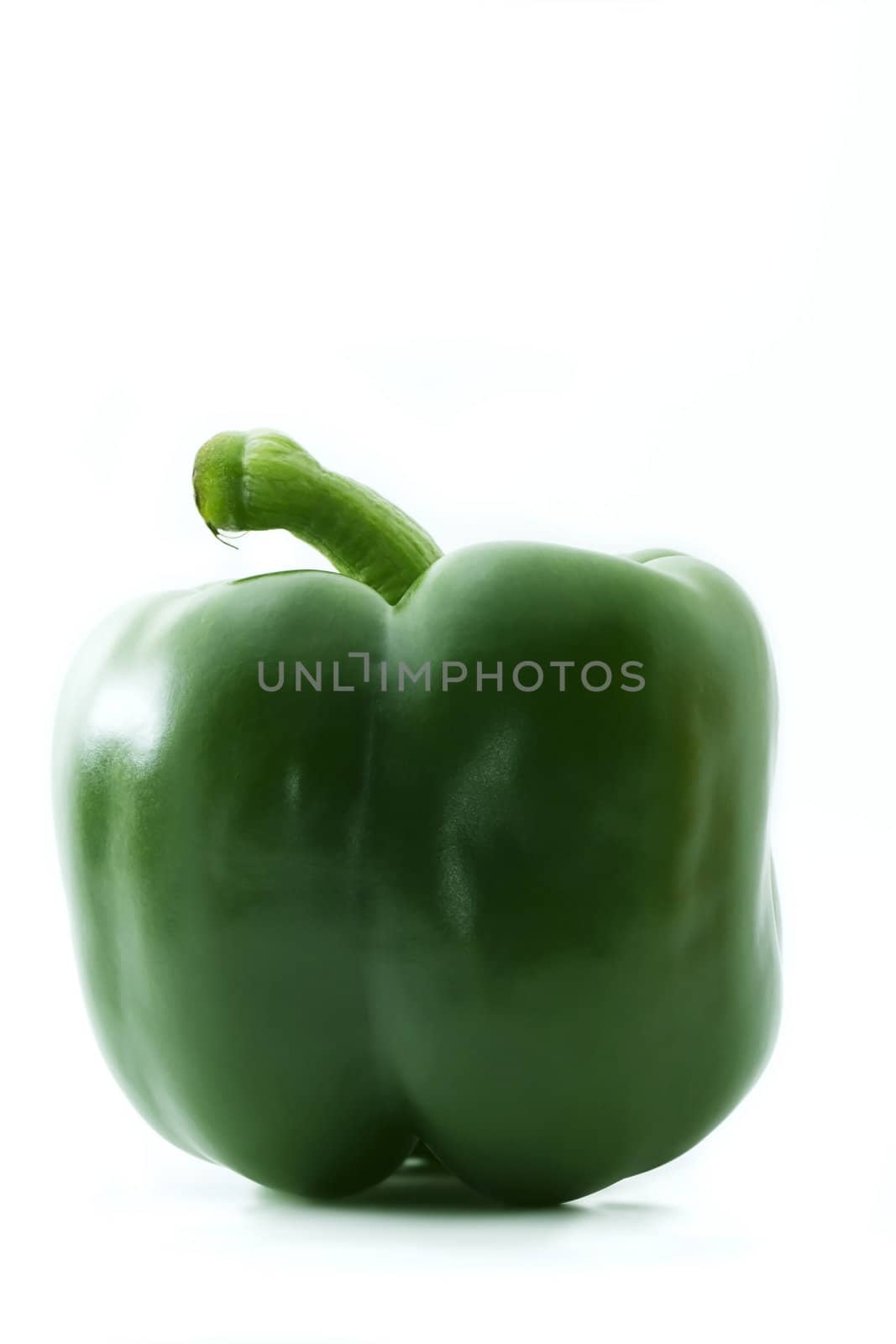 one green paprika isolated on white background