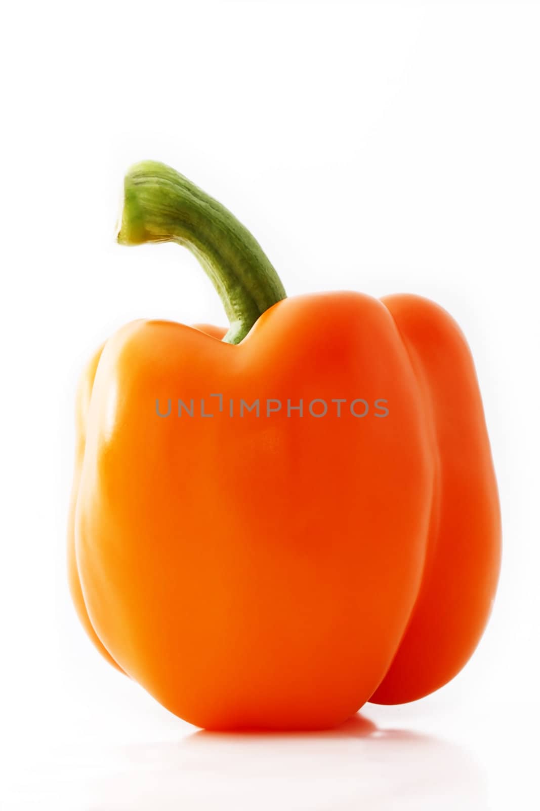 one orange paprika by RobStark