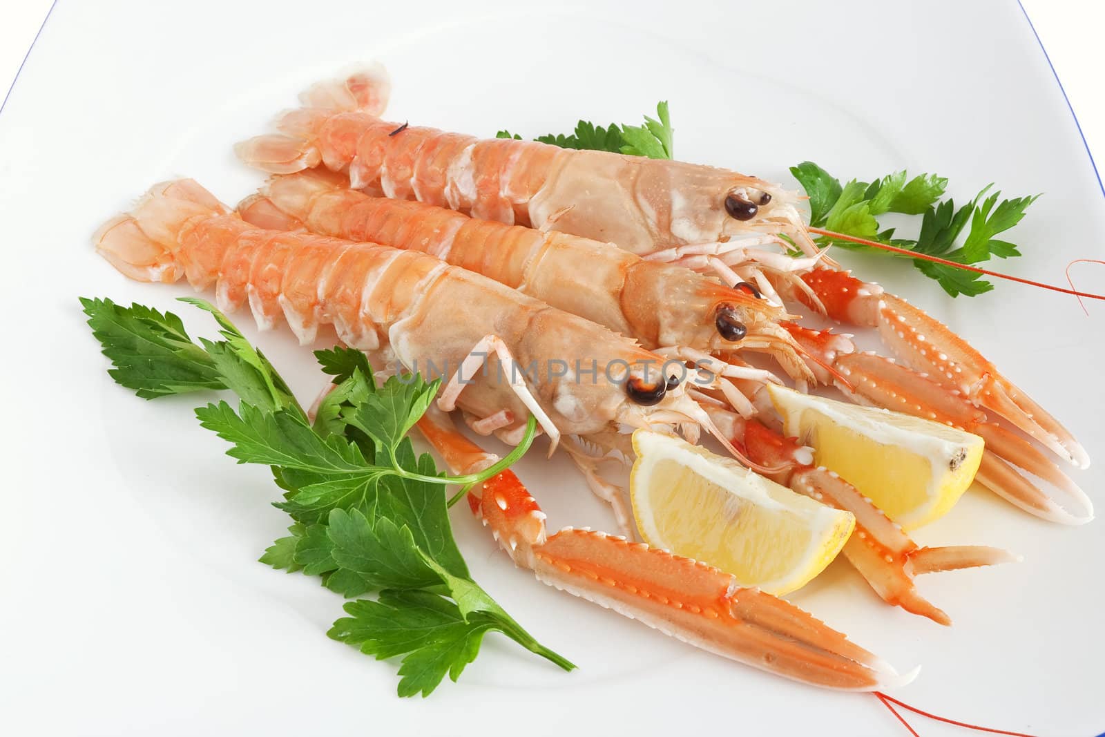 closeup of three prawns with parsleyand lemon on a white plate isolated on white background