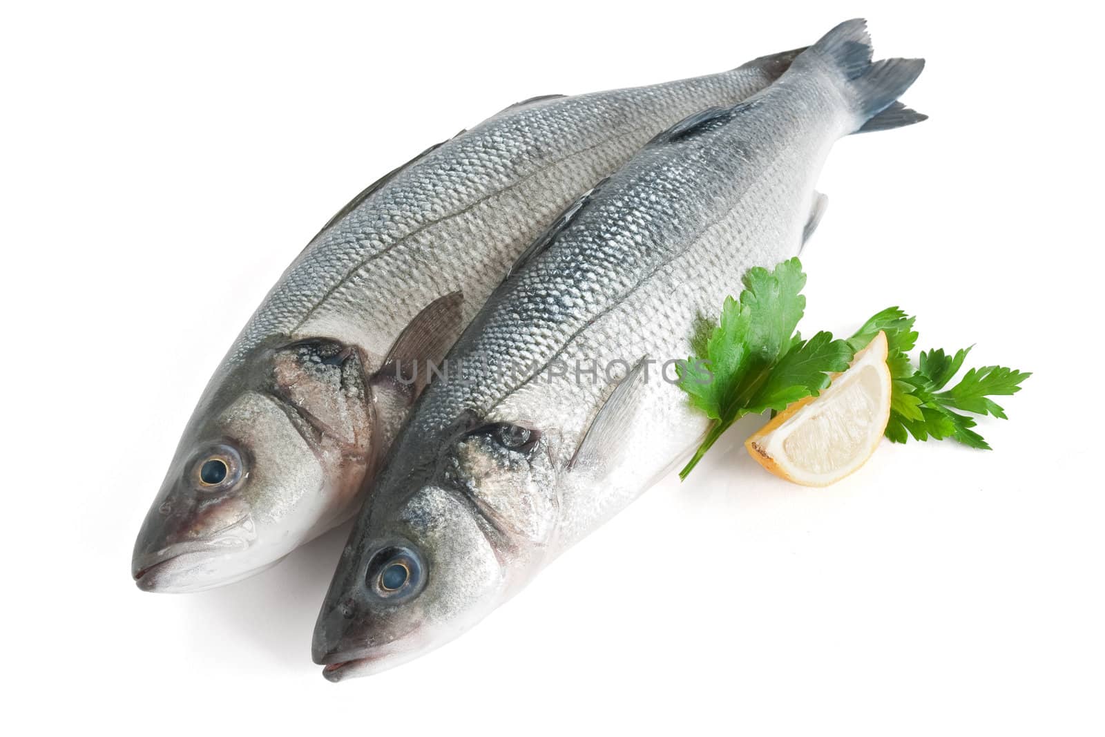 two sea bass with lemon and parsley isolated on white background with clipping path