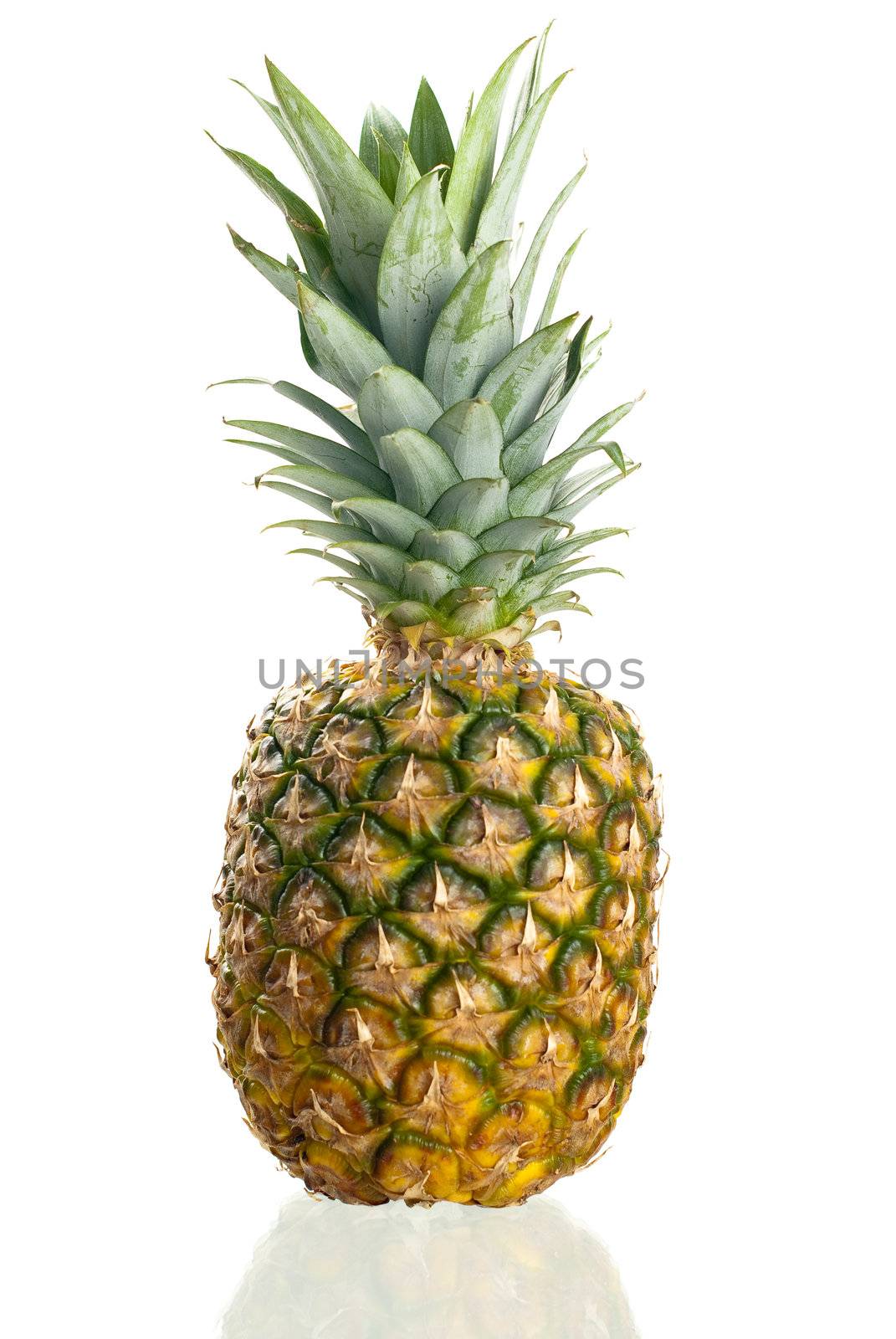 Pineapple isolated on white standing on a reflective surface.