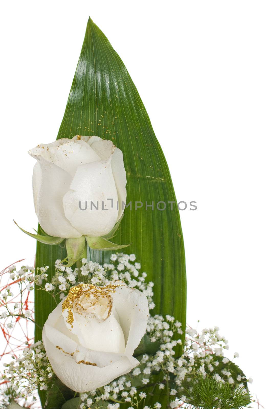 White roses bouquet isolated on white background.