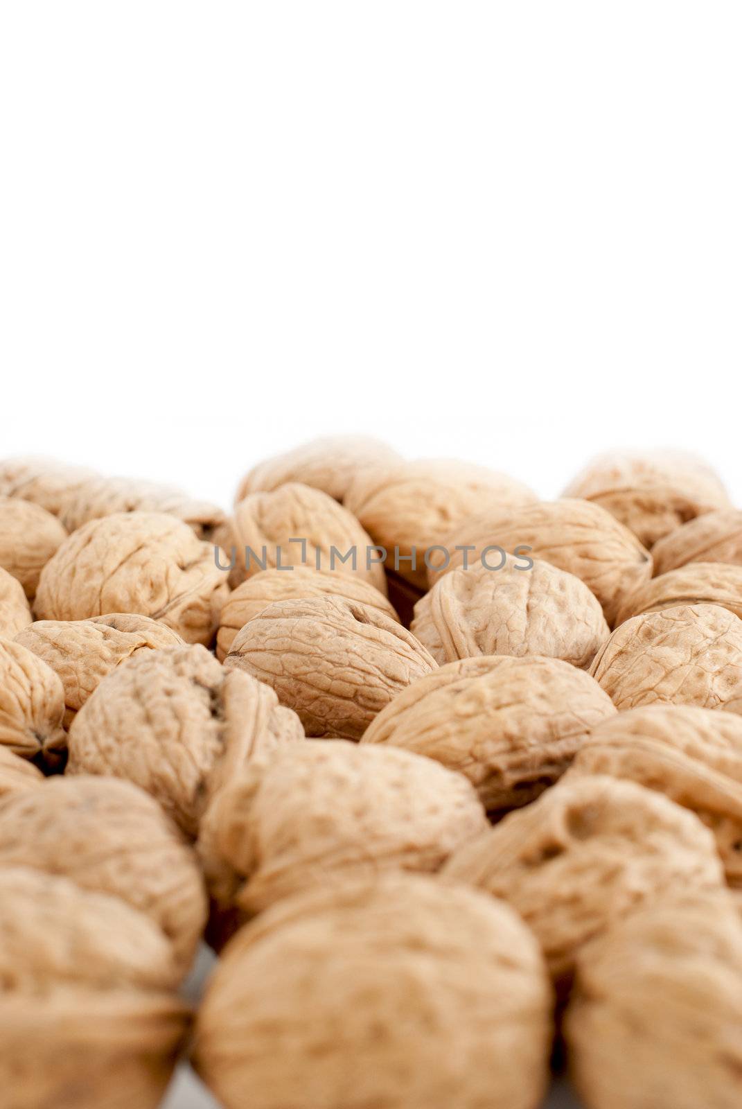Walnuts by homydesign