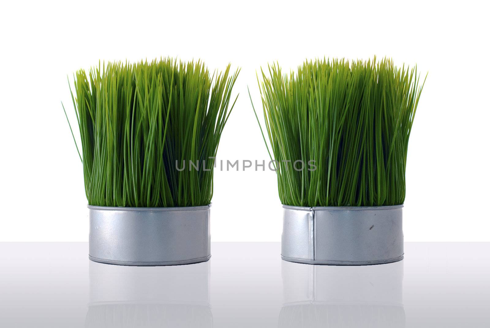 Two aluminum containers with artificial green grass isolated from the white background and on top of a reflective white surface.