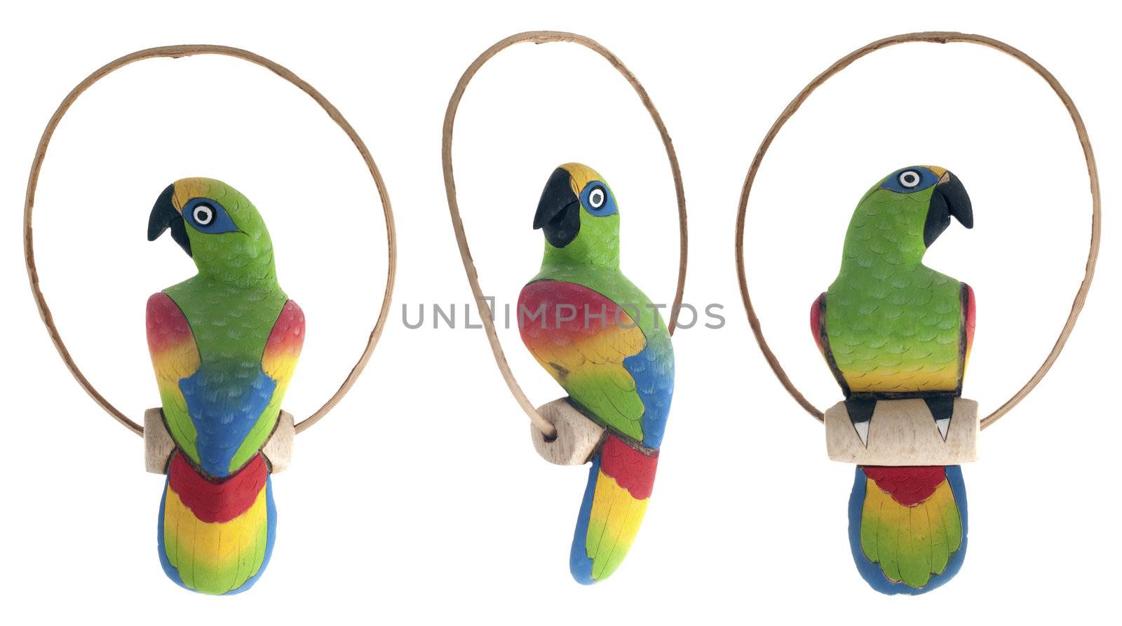 Decorative parrot by homydesign
