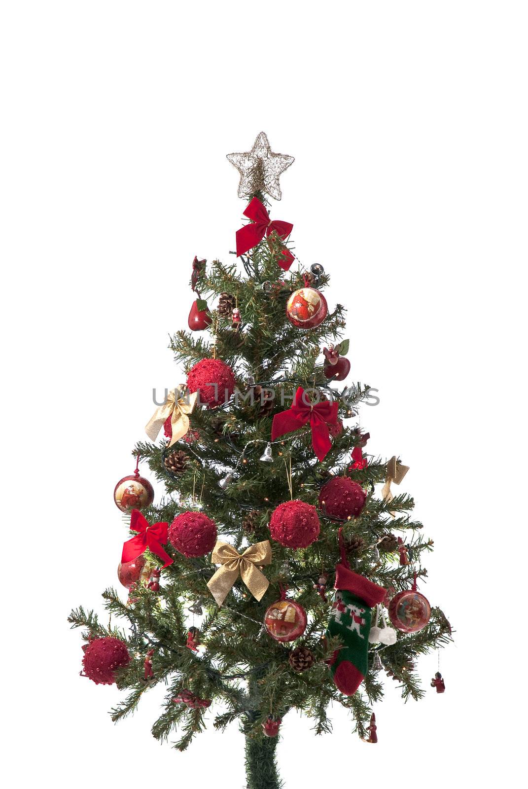 Christmas tree by homydesign