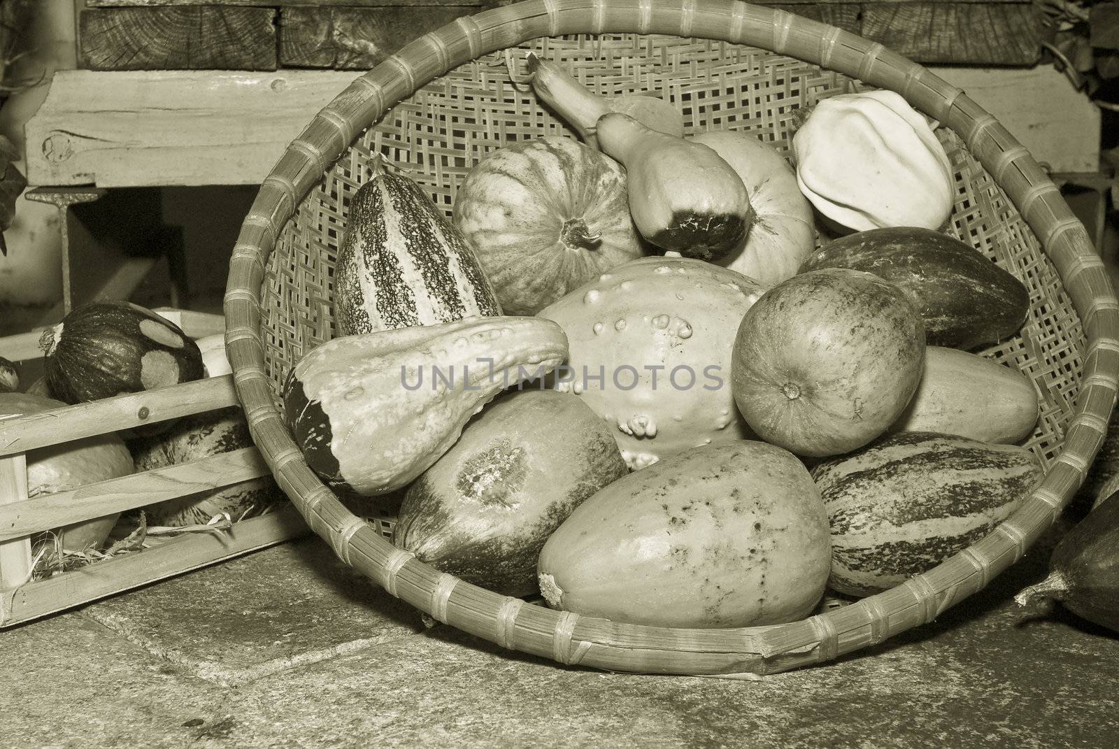 a basket full of pumpkins in monochrome color