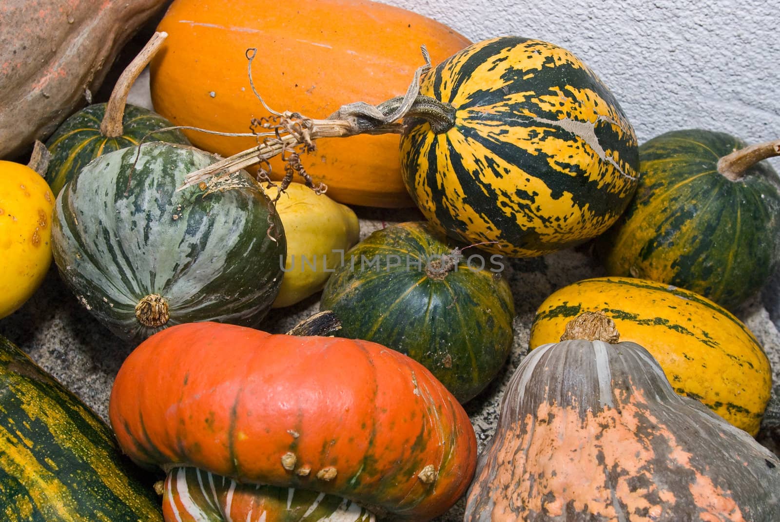 a set of some colorful pumpkins