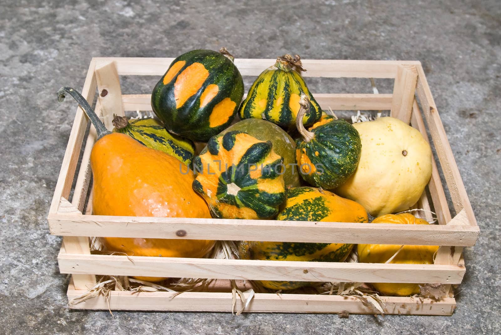a basket full of colorful pumpkins