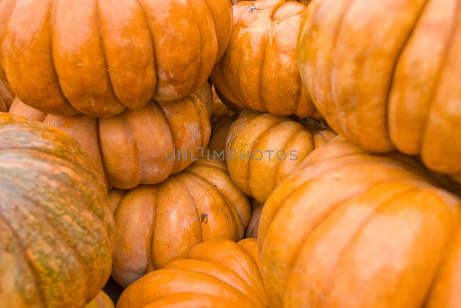 colorful pumpkins stacked for buyers