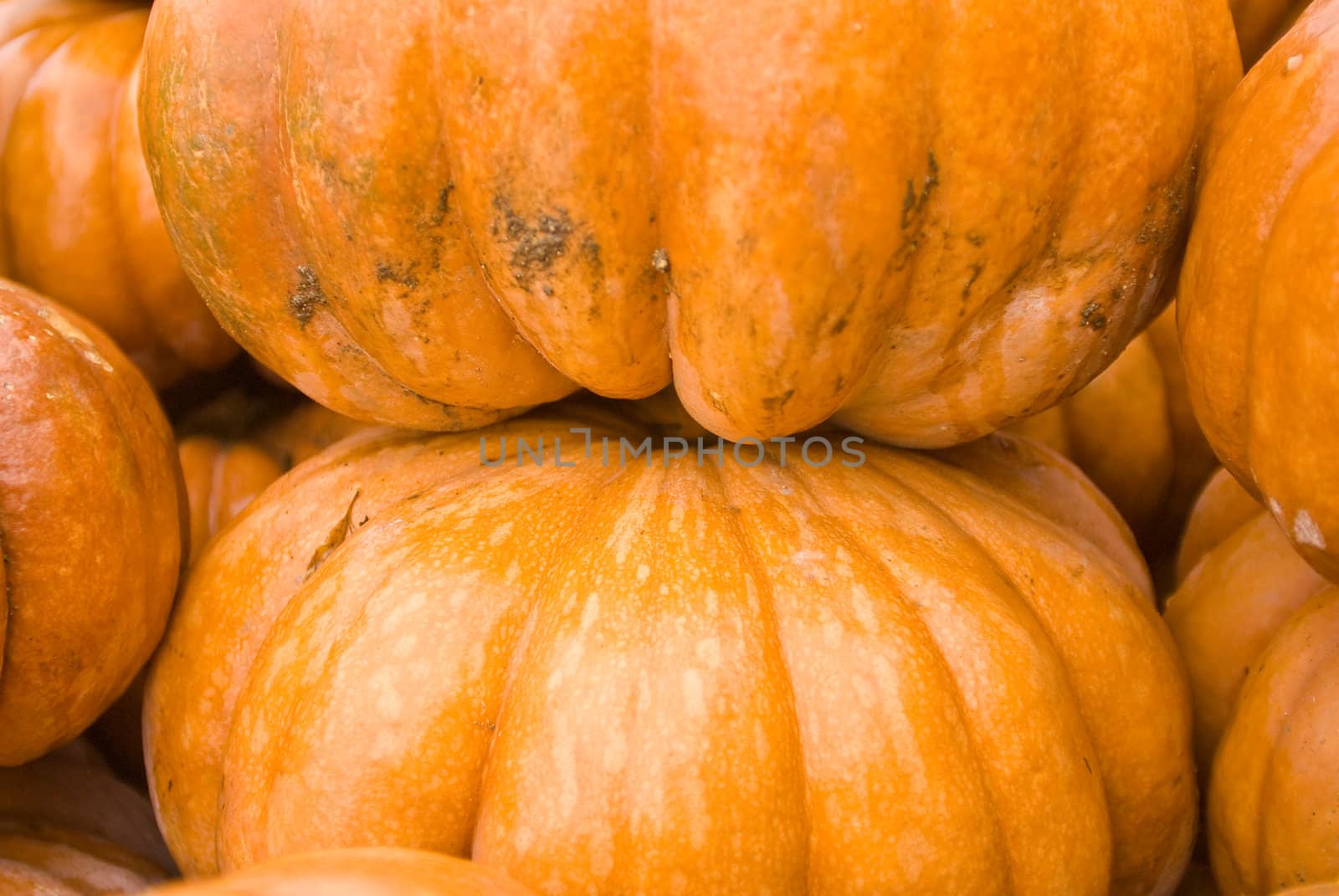 colorful pumpkins stacked for buyers