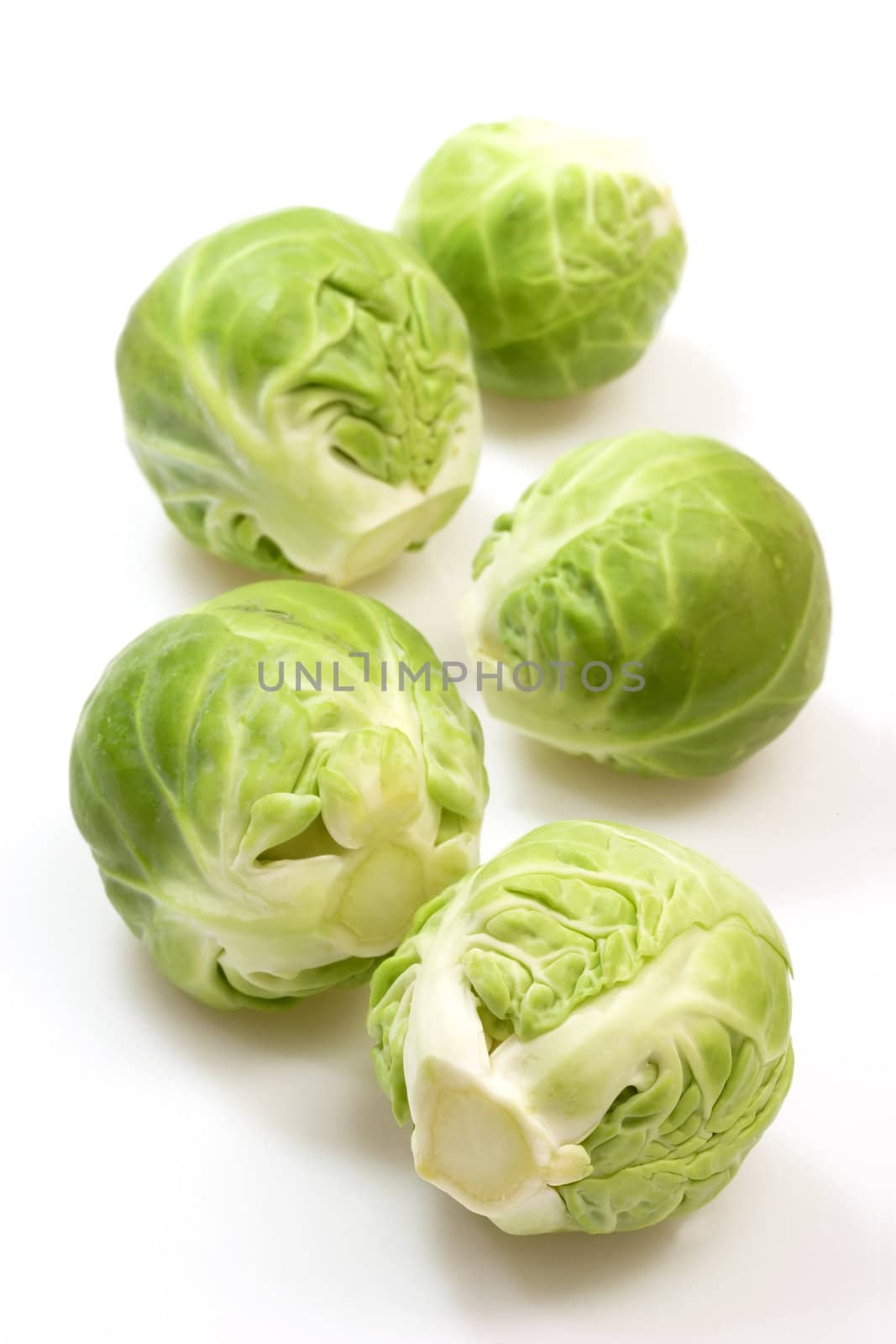 Brussels Sprouts in Detail on bright background