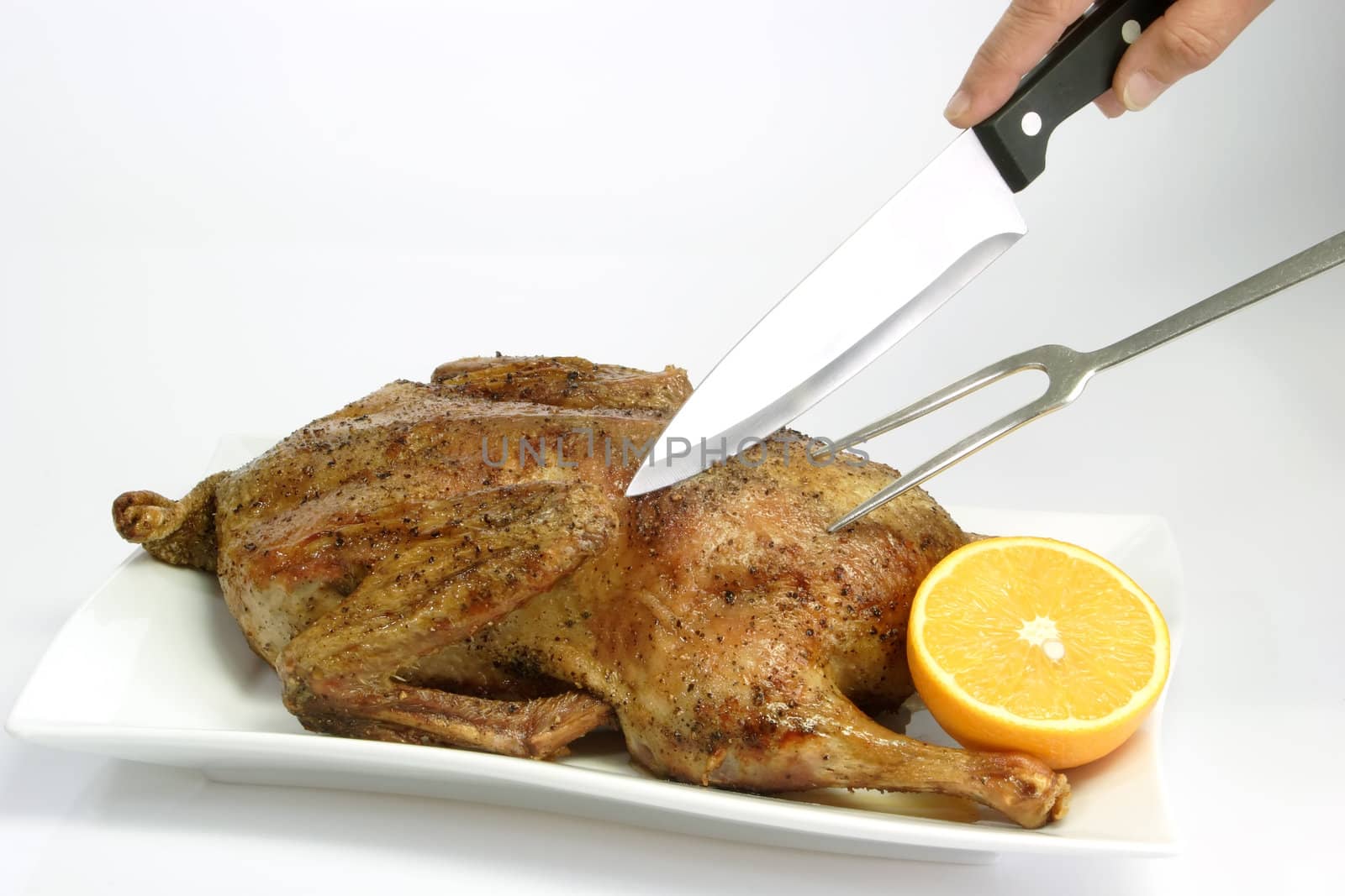 Roasted duck by Teamarbeit