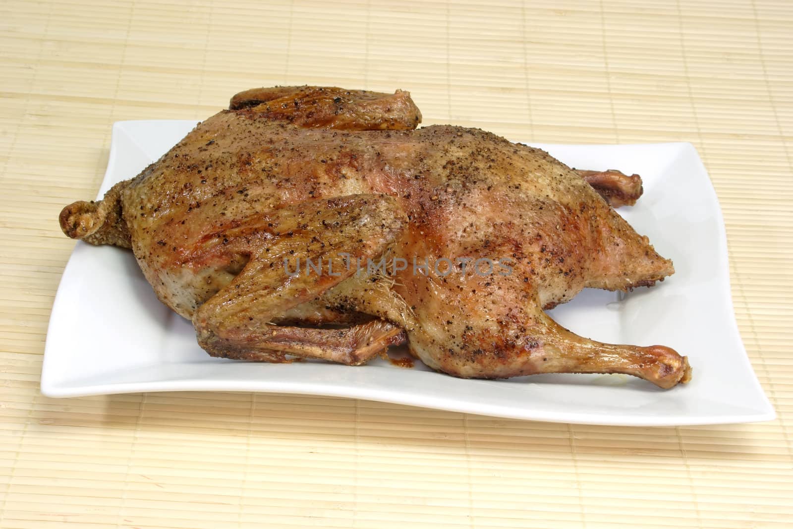 Fresh roasted duck on bright background