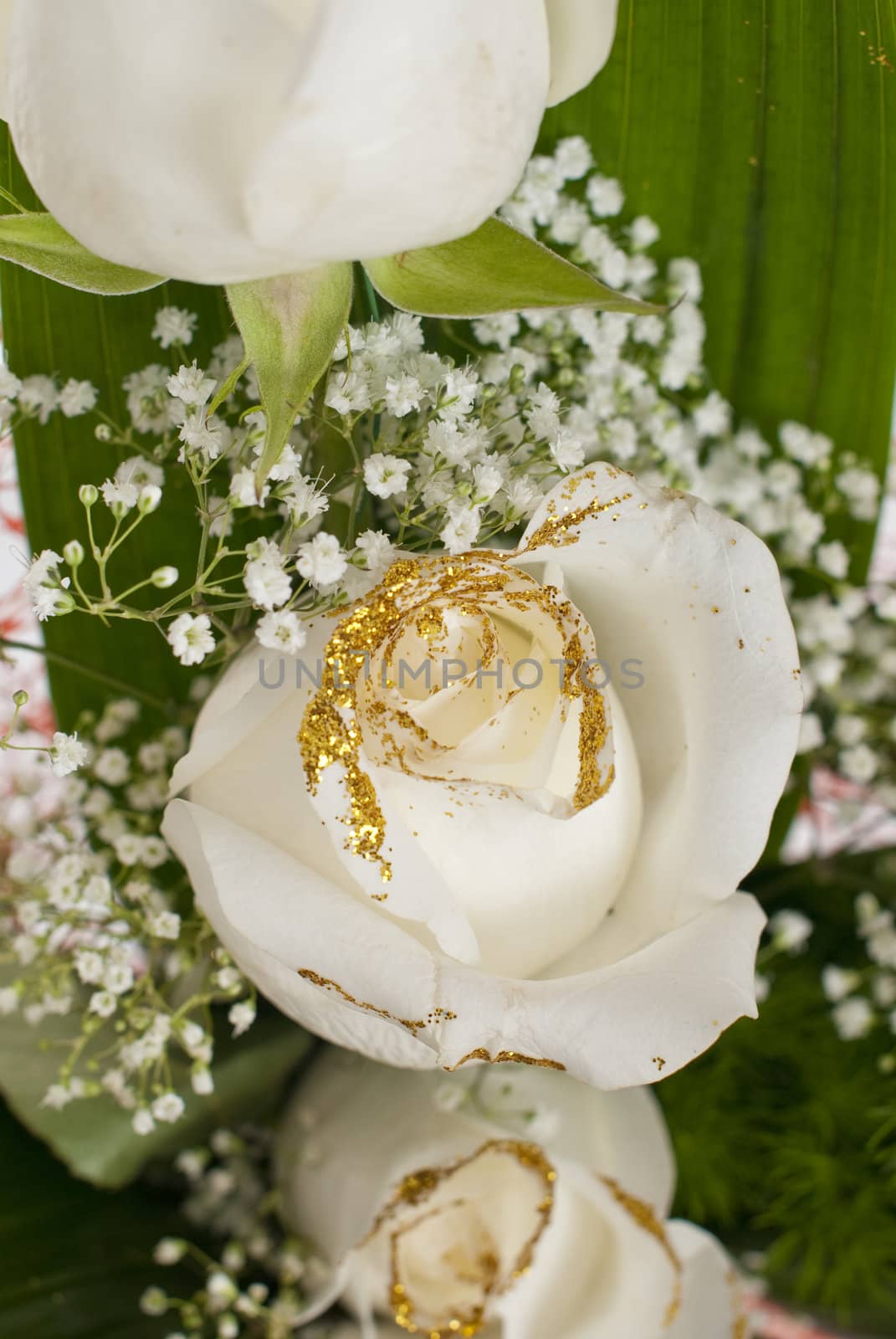 White roses bouquet close-up.
