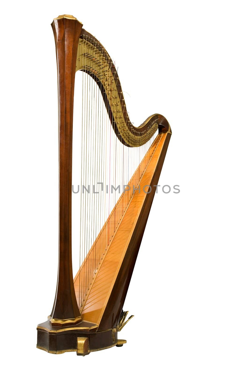 Harp by skutin