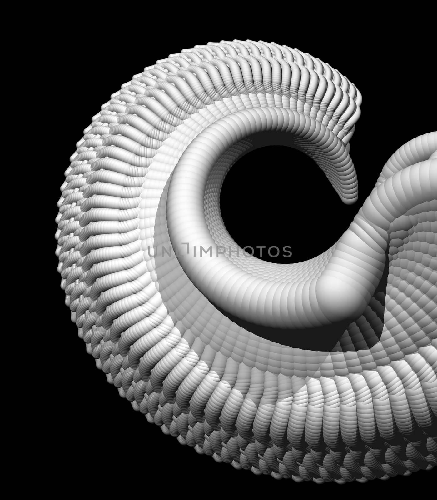 Abstract shell on black background - 3d illustration