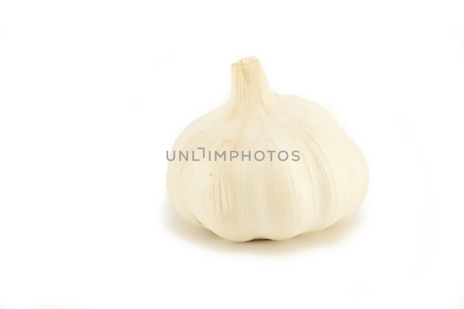 Whole Garlic on white