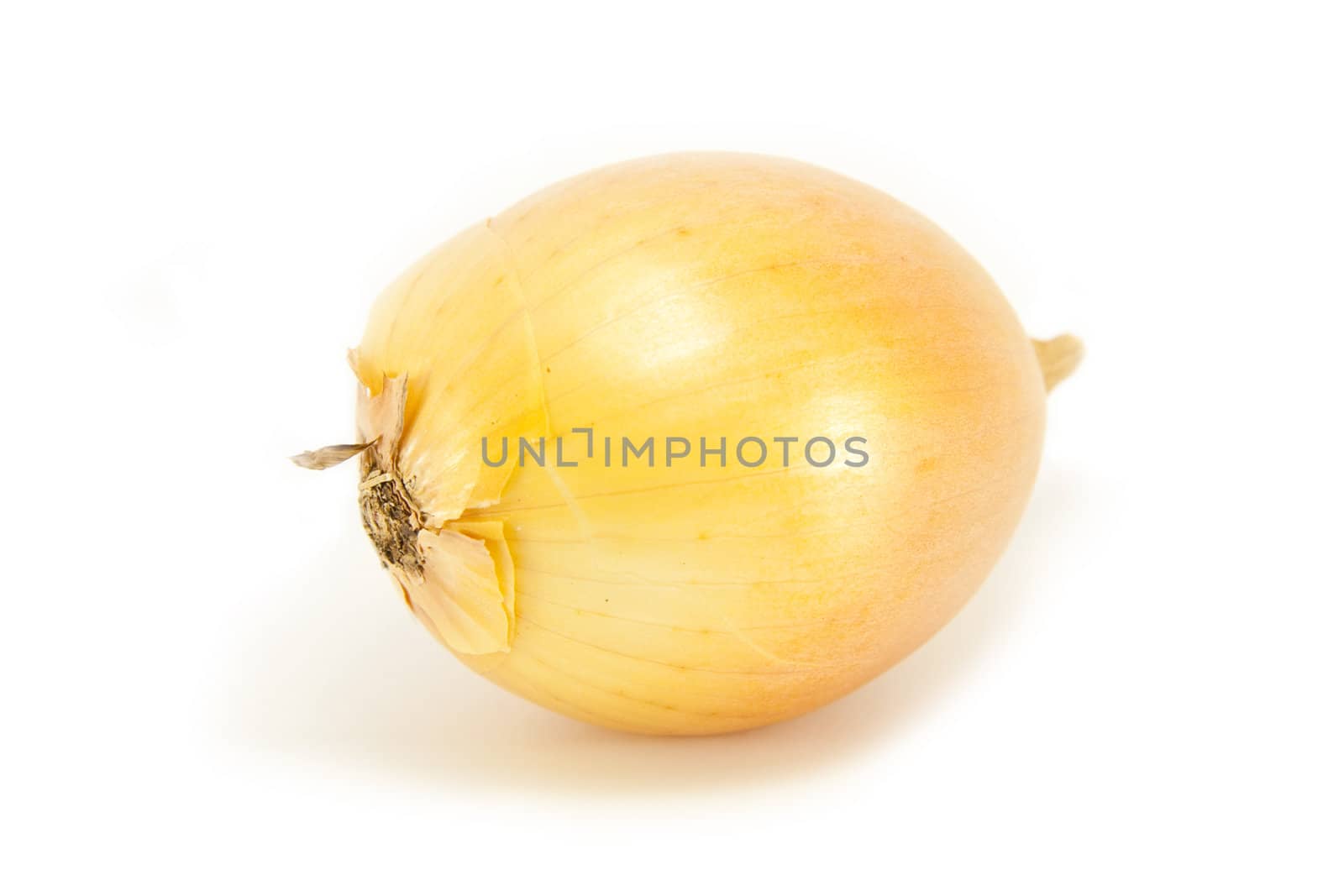 Whole Onion on white background
