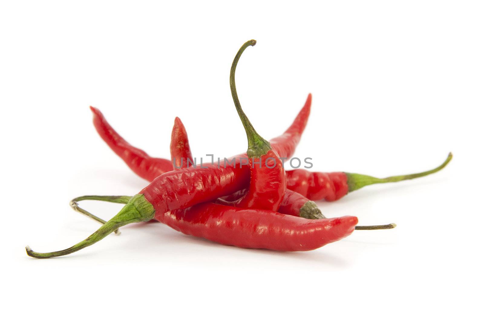 Whole fresh Red Chillies on a white background