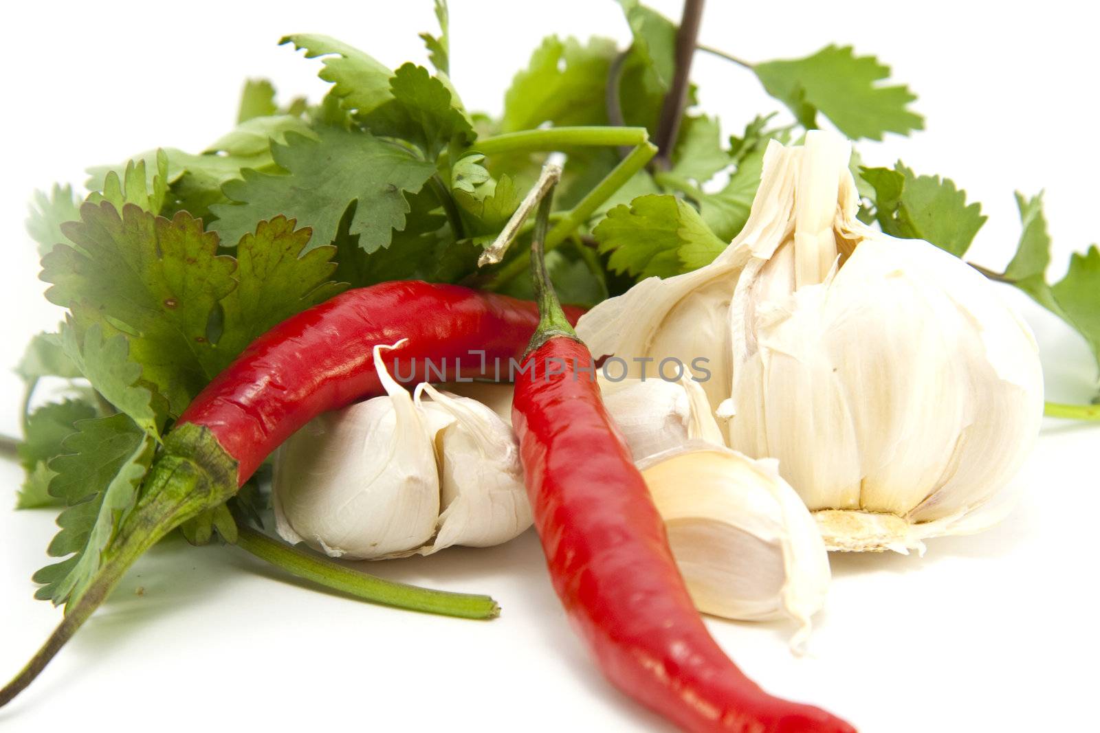 Spicy Foodstuffs isolated on a white background