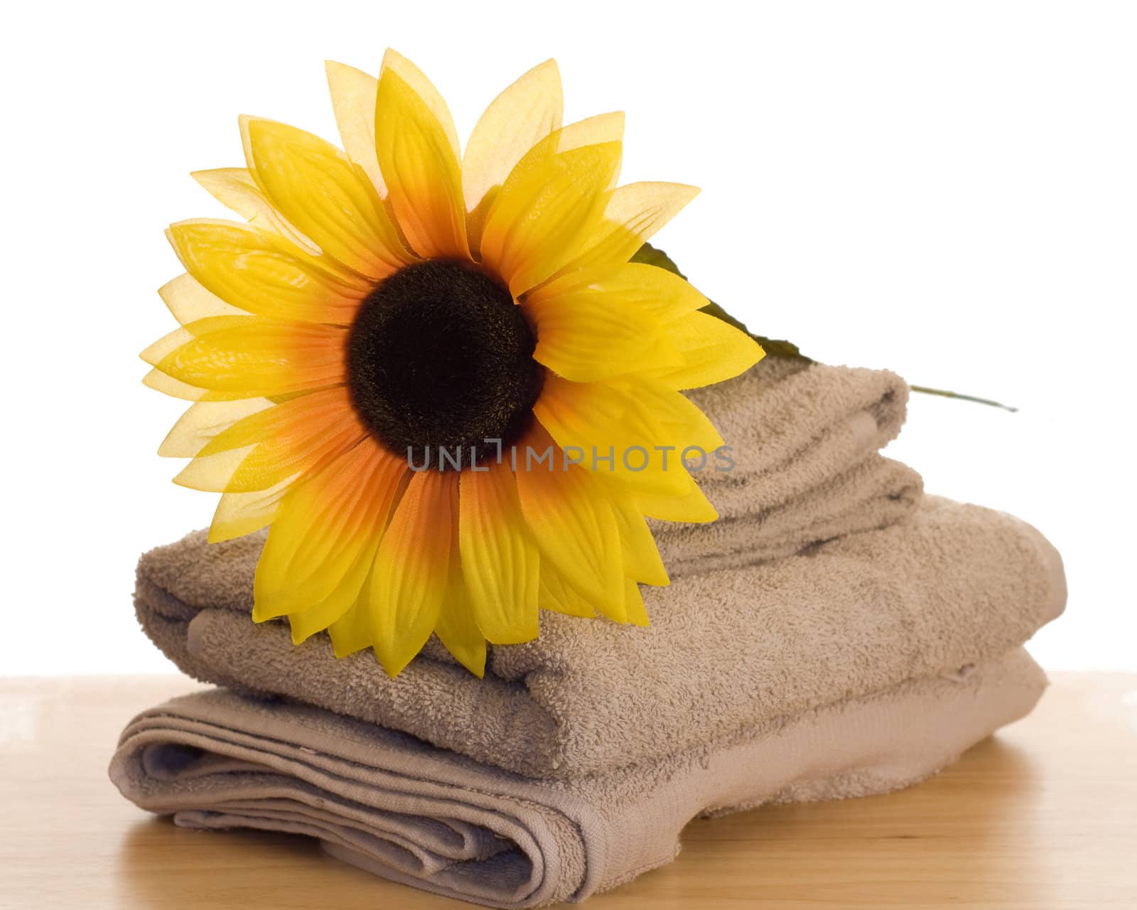 An artificial sunflower resting on some towels