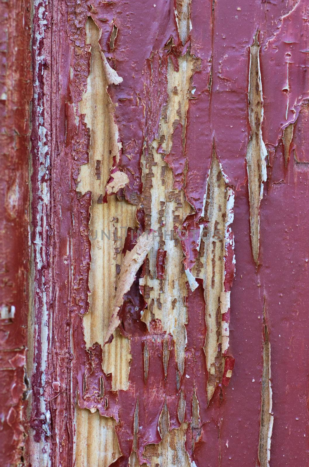 Peeling paint by AGorohov