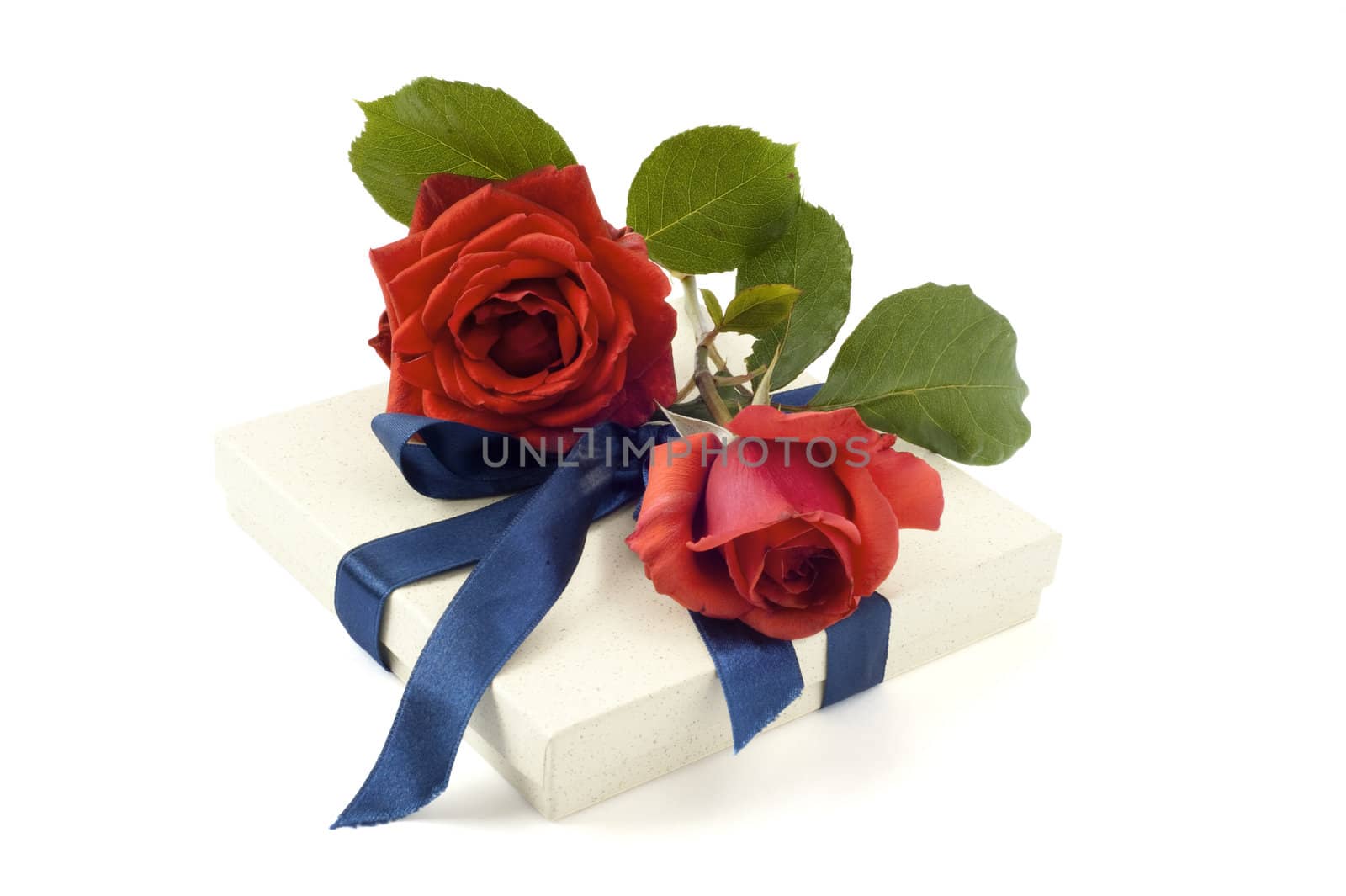gift box with ribbon on white background