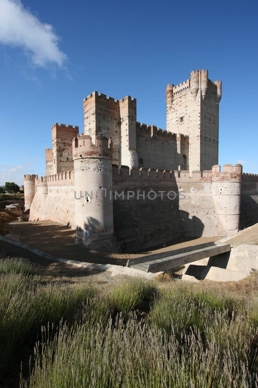 Castillo de la Mota - famous landmark in Medina del Campo, Castille, Spain