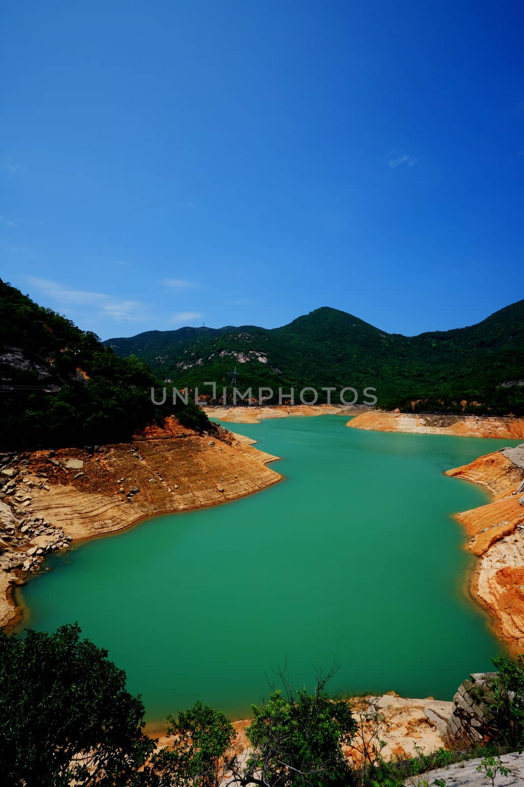 lake in forest