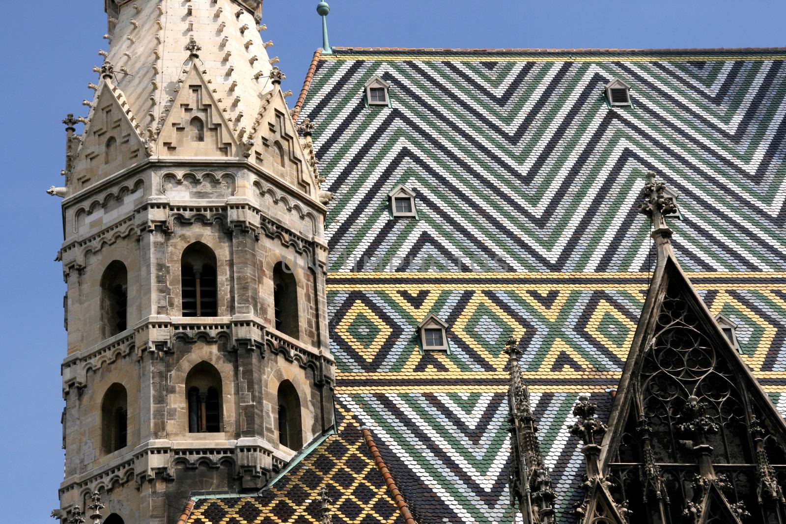 Stephansdom cathedral by tupungato