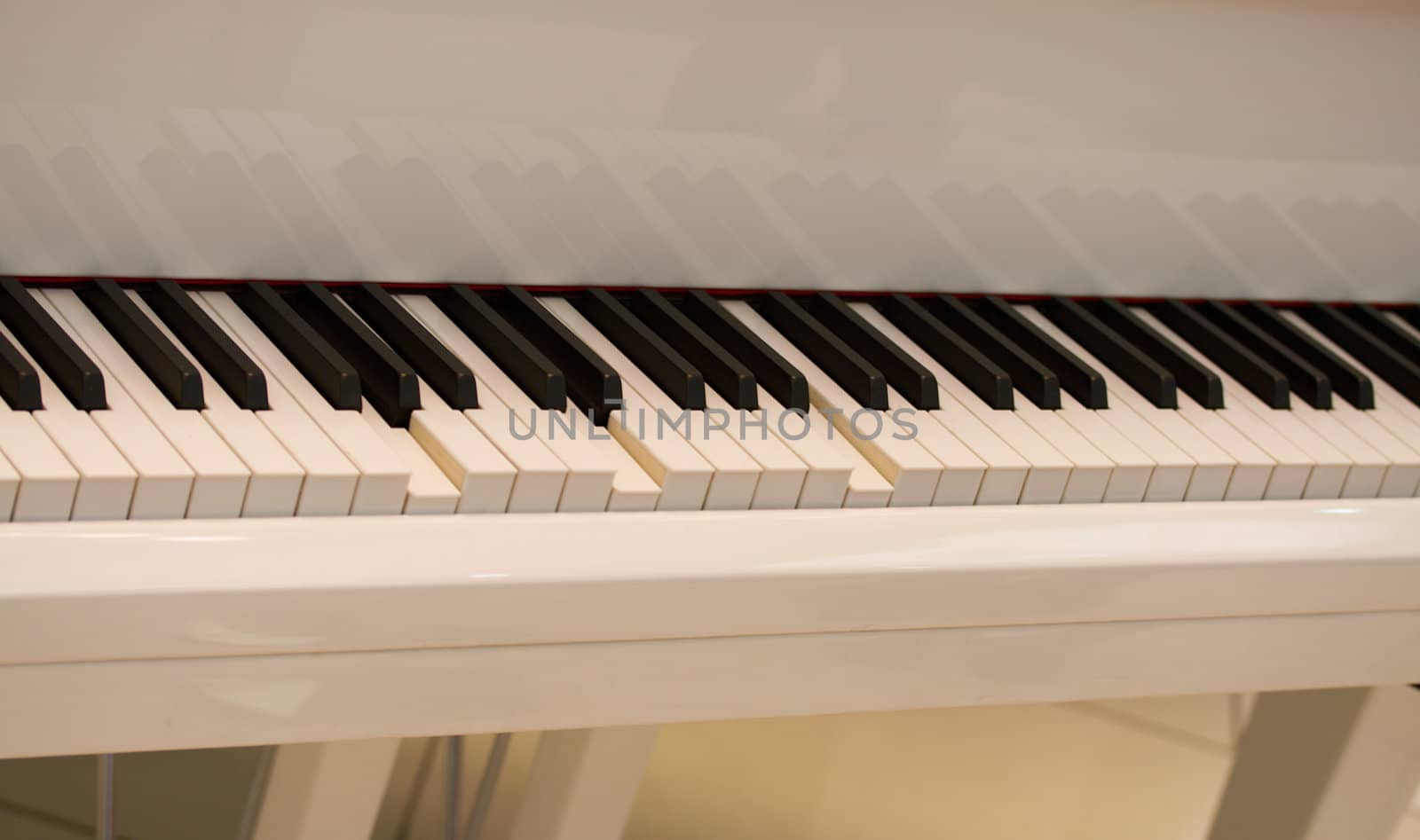 close-up self playing white piano keys