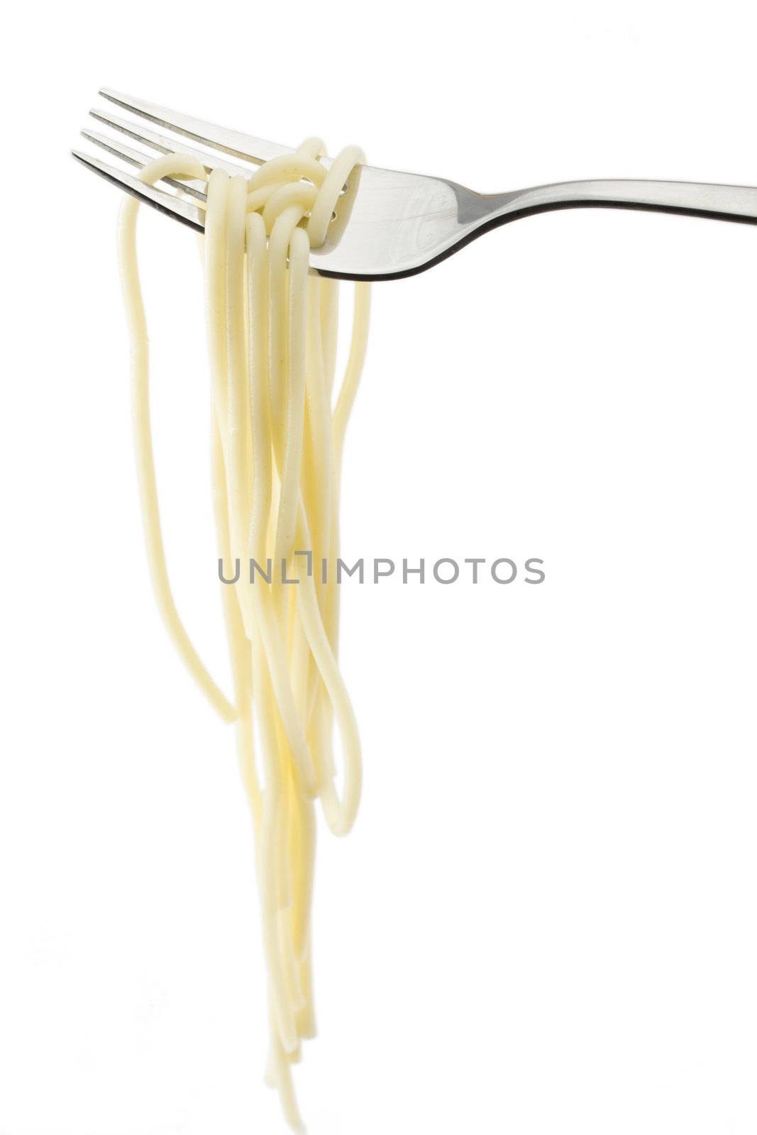 spaghetti in a white plate on clear background