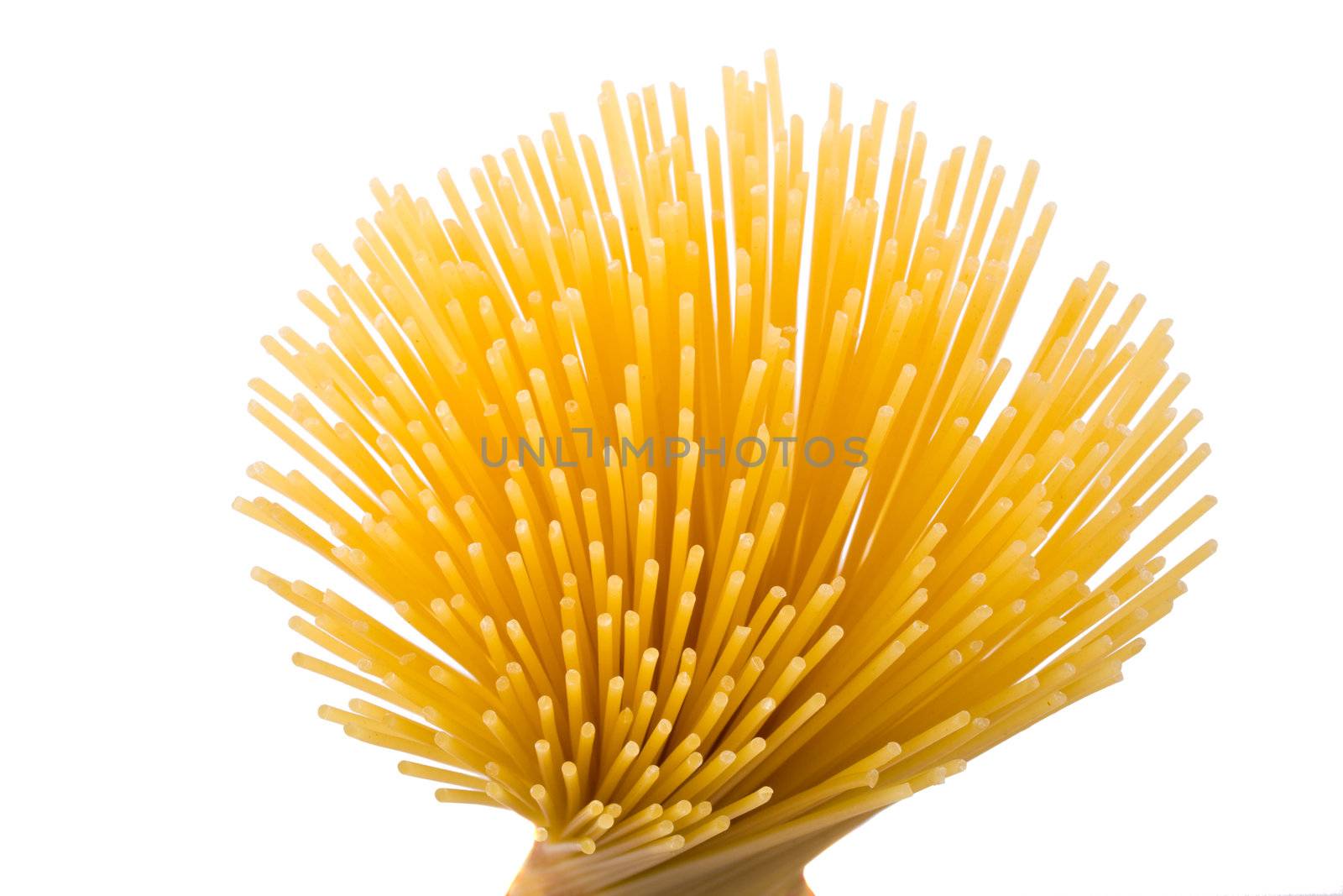 rays of spaghetti on white background by bernjuer