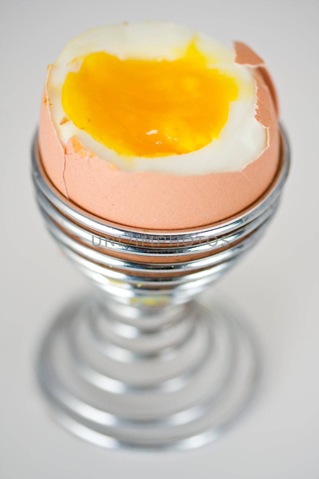 brown egg in an eggcup on white background by bernjuer