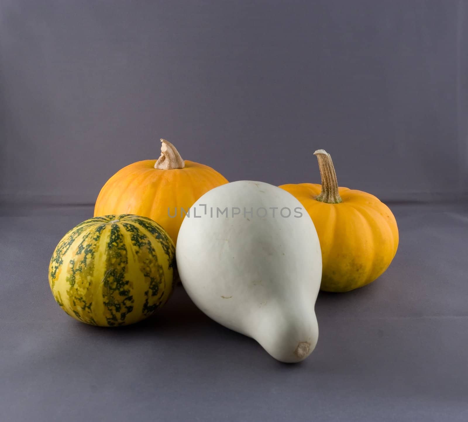 Pumkins by melastmohican