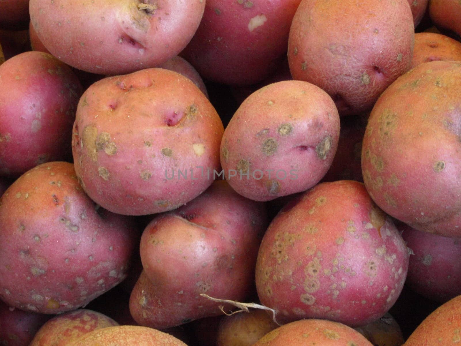 Red potatoes at a local farmers market