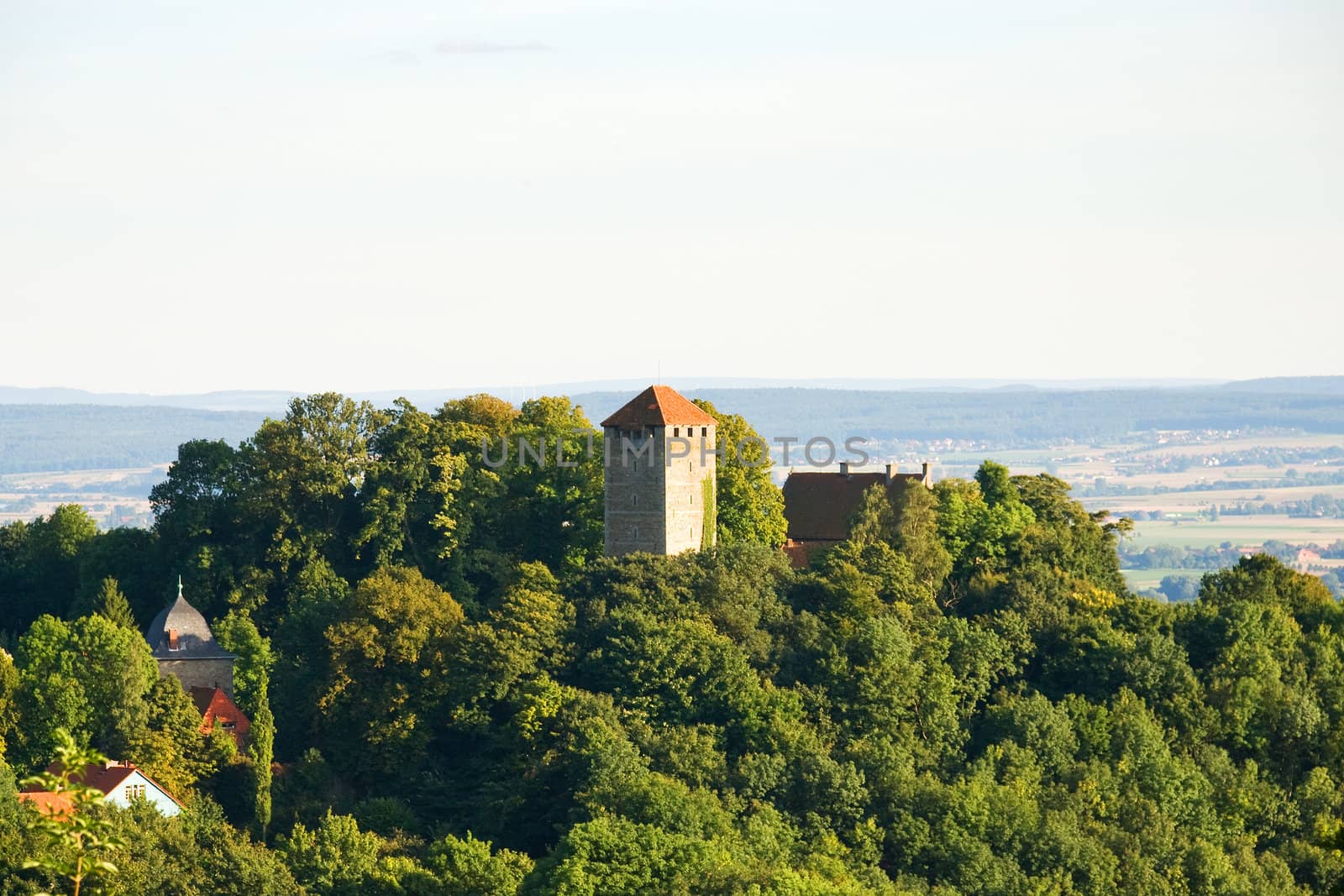 Old Castle in a Forest on the Hill