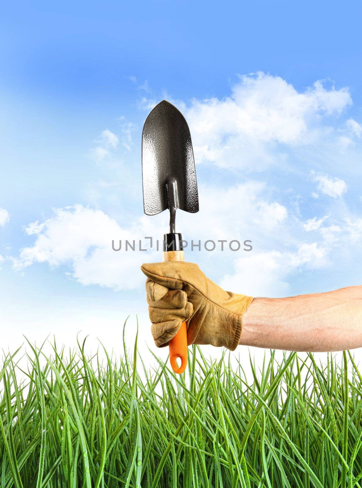 Hand holding garden trowel against blue sky by Sandralise