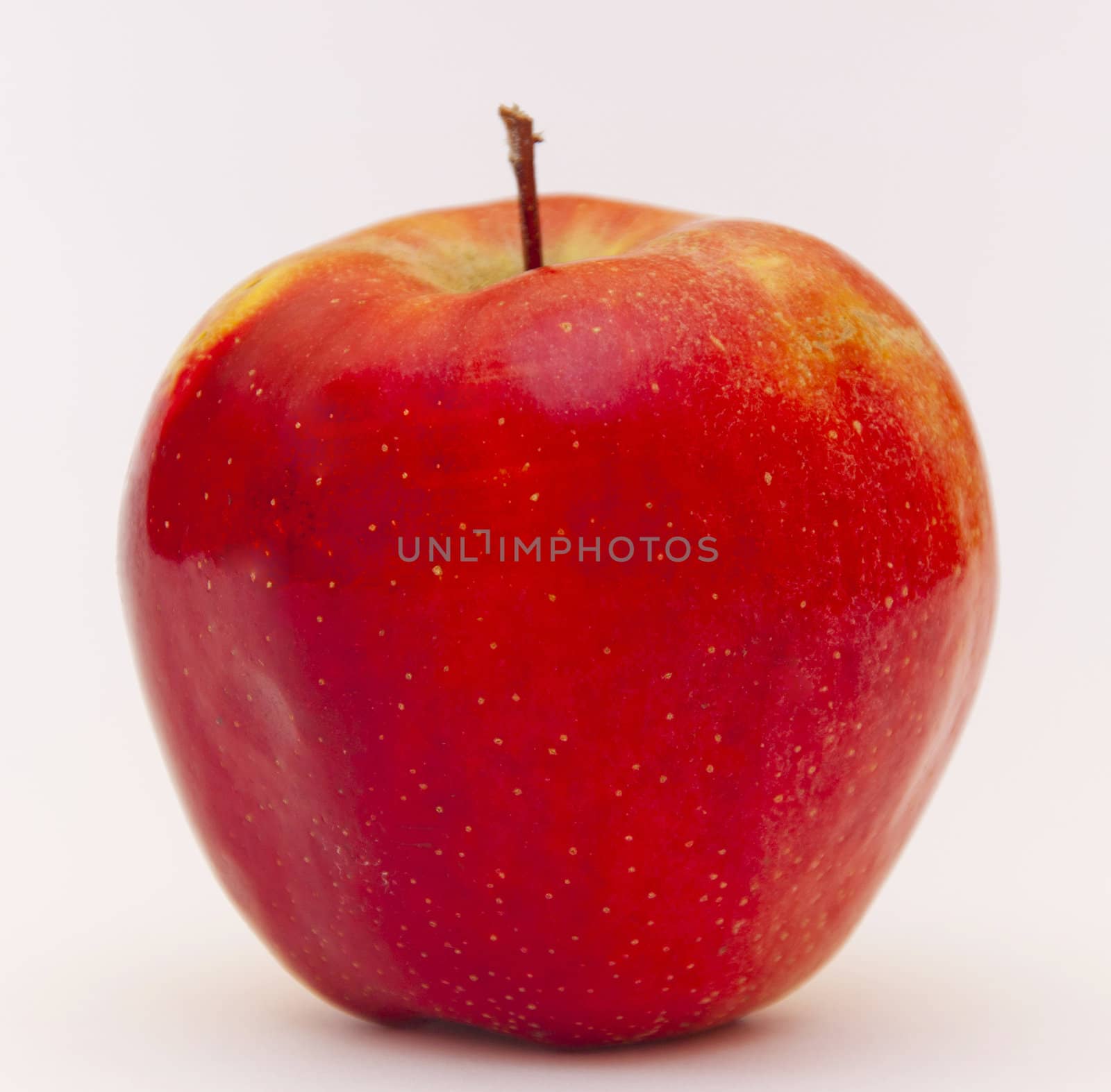 The isolated Red apple for healthy food