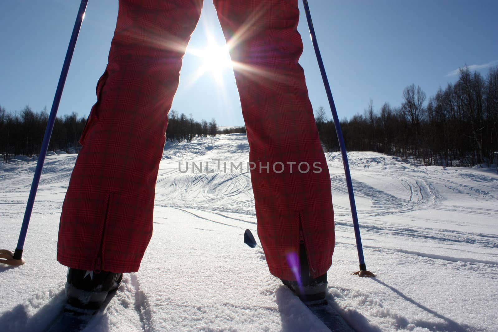 beautiful winter day