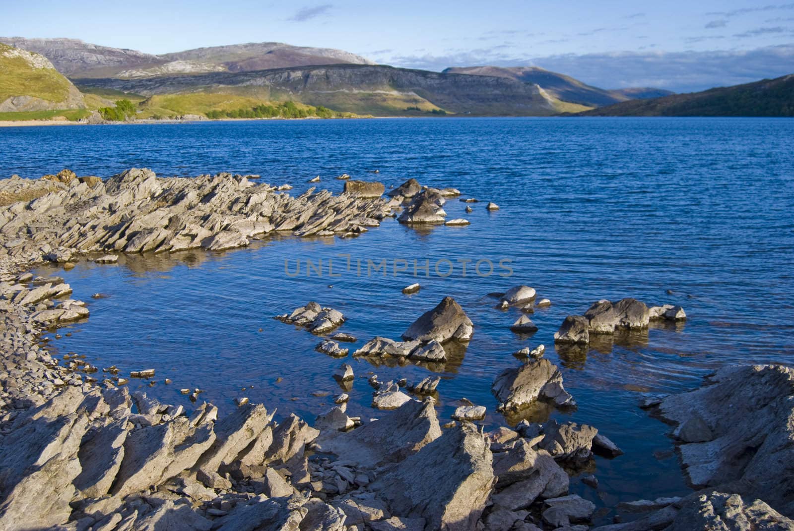 part of the coastline of Loch Assynt